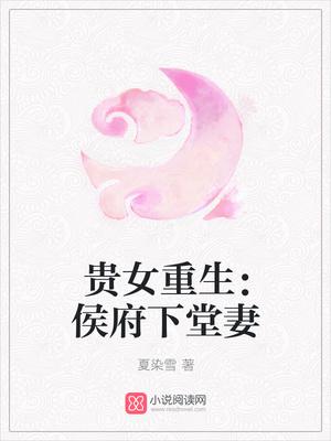 沈清辞娄雪飞全文免费阅读